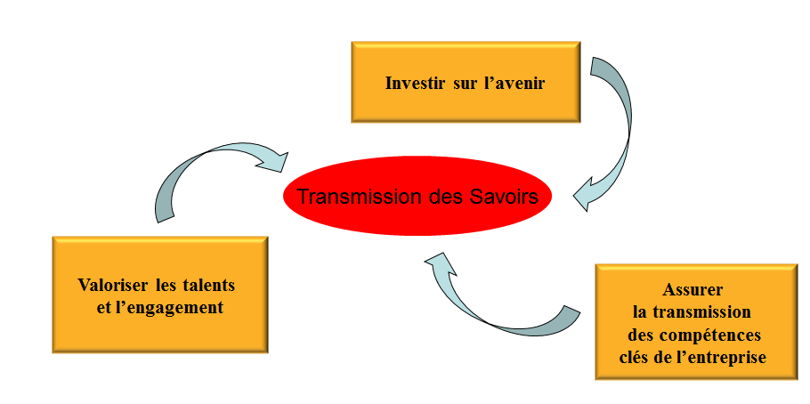 La transmission des savoirs en Entreprise par Jem Consulting Alsace